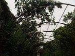 P5290499.JPG