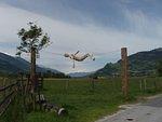 P5310542.JPG