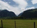 P5310547.JPG