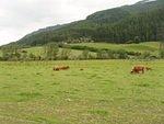P5310548.JPG
