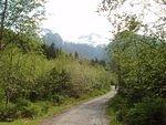 P5310550.JPG