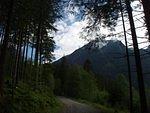 P5310553.JPG
