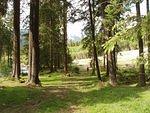 P5310556.JPG