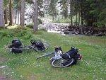 P5310565.JPG
