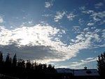 P5310583.JPG