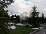 P5310585.JPG