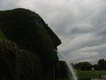 P6190620.JPG