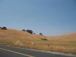 IMG_0899.JPG