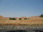 IMG_0900.JPG