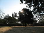 IMG_0929.JPG
