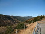 IMG_1050.JPG