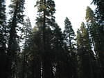 IMG_1059.JPG