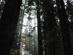 IMG_1063.JPG