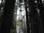 IMG_1064.JPG
