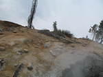 IMG_1094.JPG