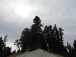 IMG_1120.JPG