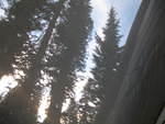 IMG_1147.JPG