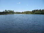 IMG_1163.JPG