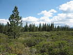 IMG_1178.JPG