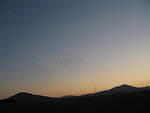 IMG_1228.JPG