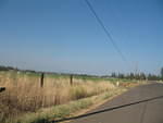 IMG_1236.JPG