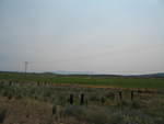 IMG_1290.JPG