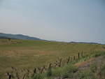 IMG_1295.JPG