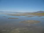 IMG_1341.JPG