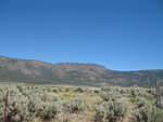 IMG_1376.JPG