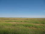IMG_1446.JPG