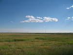 IMG_1447.JPG
