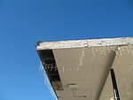 IMG_1450.JPG