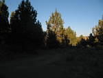 IMG_1454.JPG