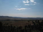 IMG_1463.JPG