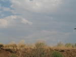 IMG_1524.JPG