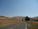 IMG_1582.JPG