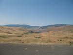 IMG_1593.JPG