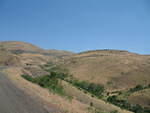 IMG_1600.JPG