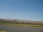 IMG_1609.JPG