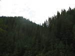IMG_1639.JPG