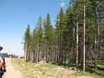 IMG_2240.JPG