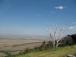 IMG_2251.JPG