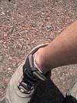 IMG_2252.JPG