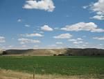IMG_2286.JPG