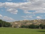 IMG_2295.JPG
