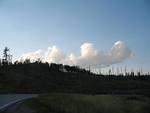 IMG_2392.JPG