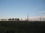 IMG_2395.JPG