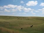 IMG_2538.JPG