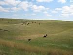 IMG_2539.JPG
