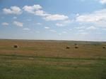 IMG_2540.JPG